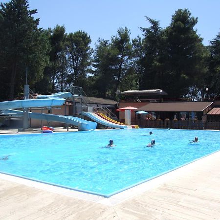易达捷村露营地 SantʼArcangelo 外观 照片