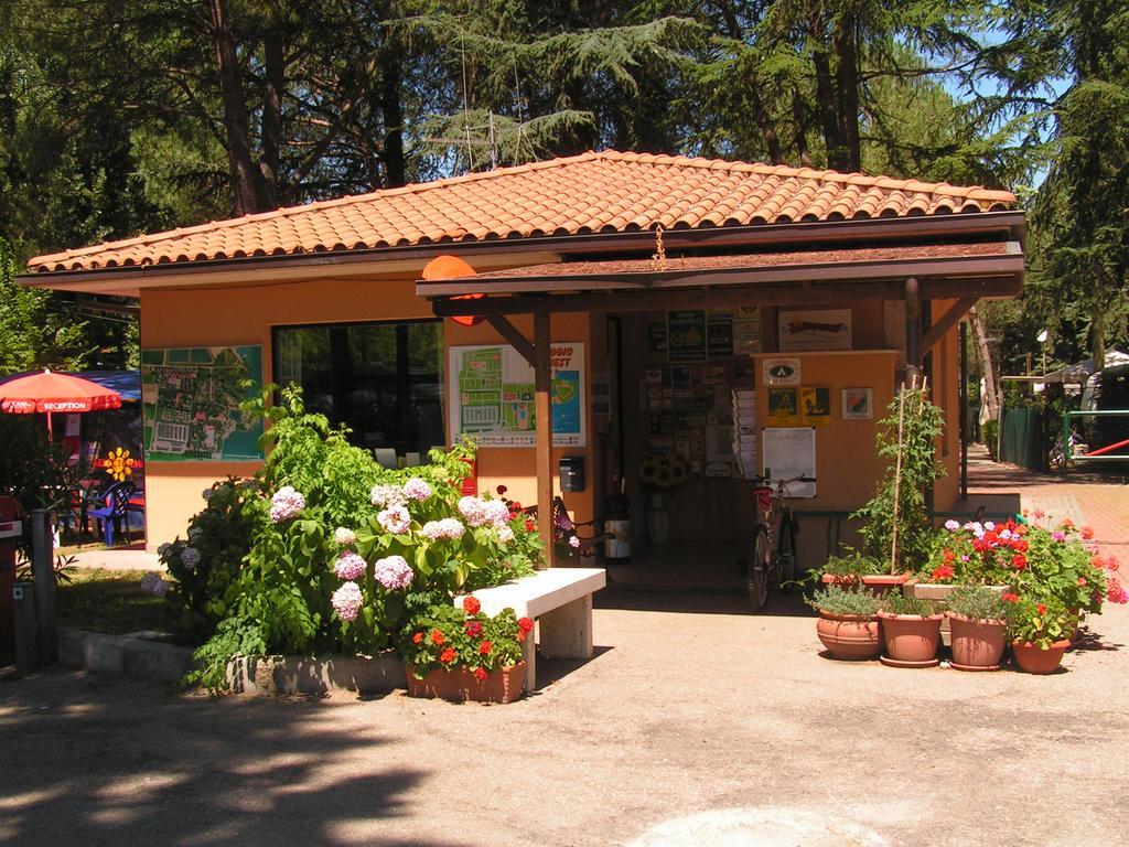 易达捷村露营地 SantʼArcangelo 外观 照片